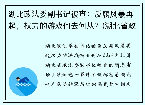 湖北政法委副书记被查：反腐风暴再起，权力的游戏何去何从？(湖北省政法委副书记)